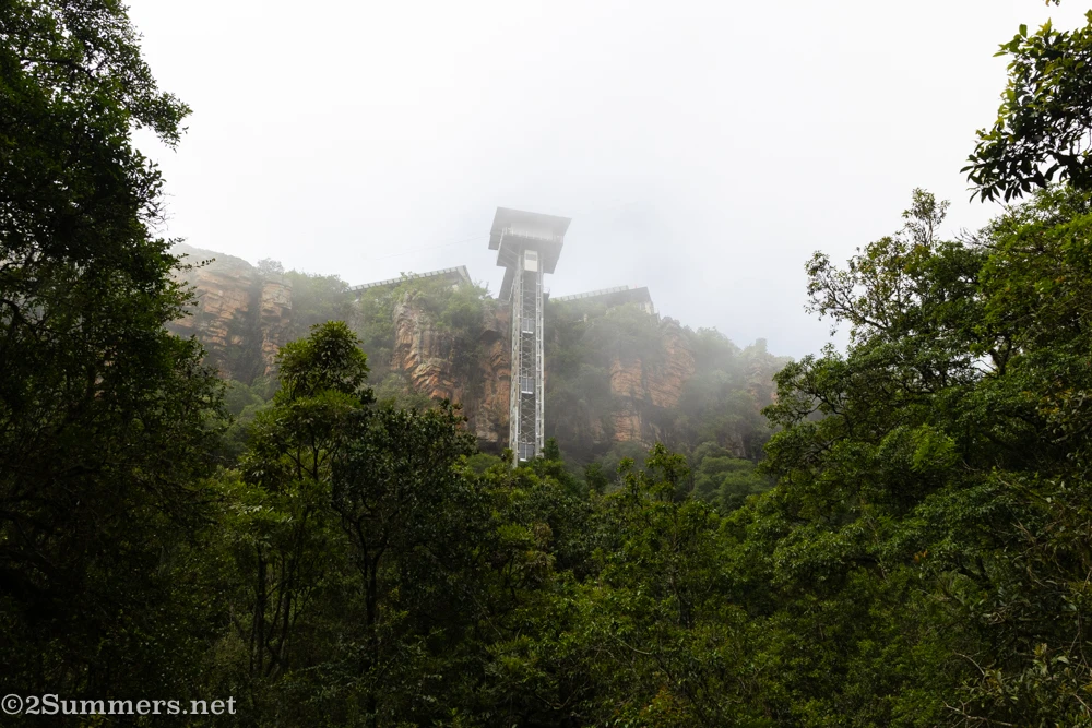 Looking up at the Graskop Gorge Lift in the mist