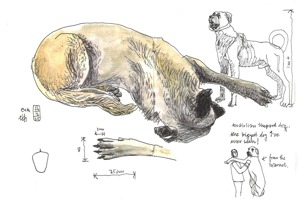 Thorsten’s sketch of Eva