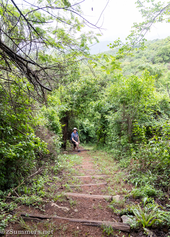 Thosten sketching waterfall
