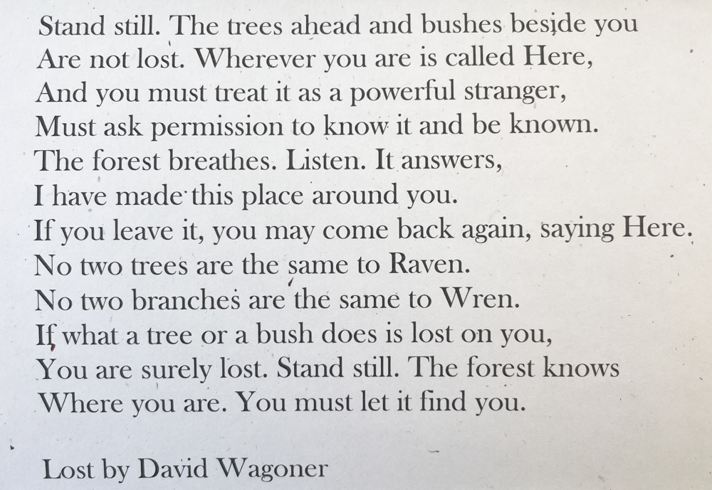 Lost, by David Wagoner
