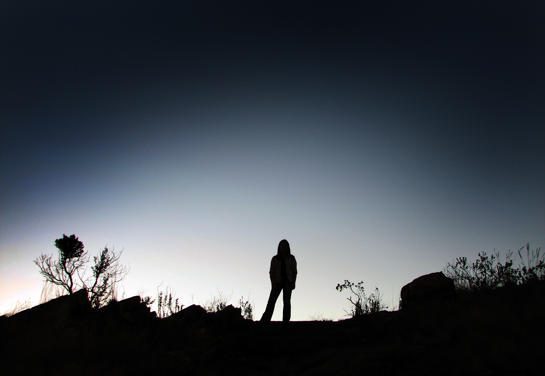 Heather silhouette on the Melville Koppies