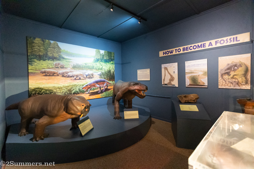 Room in the Fossil Centre