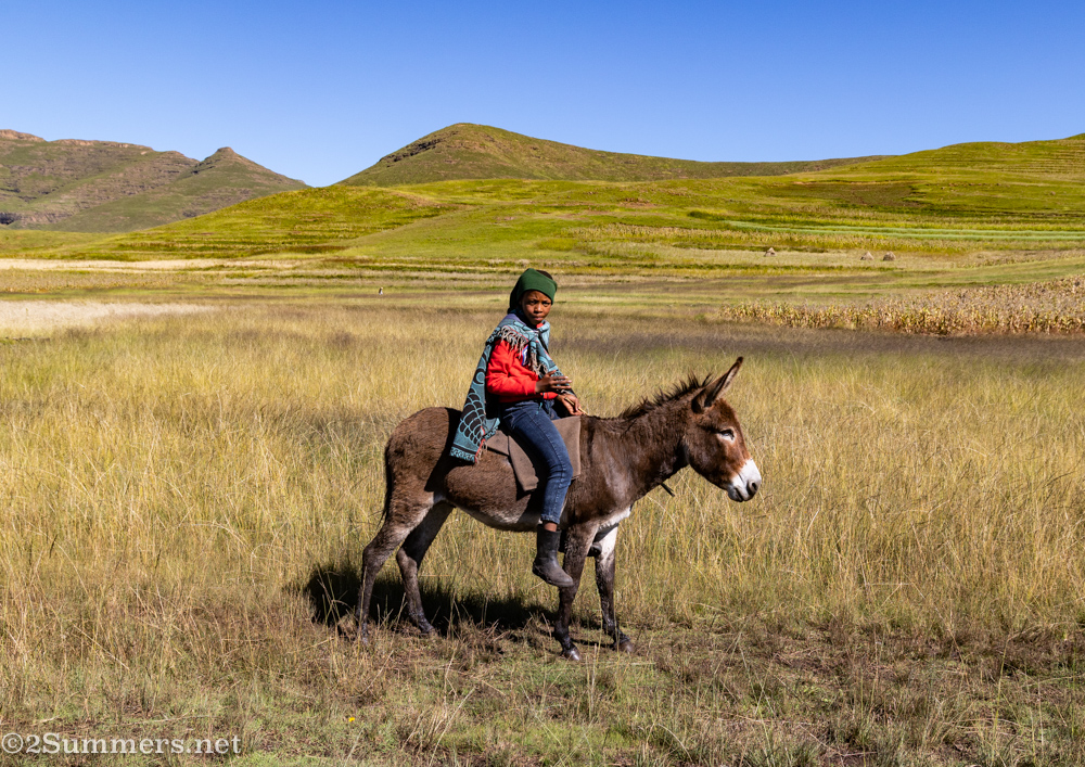 Kid riding a donkey